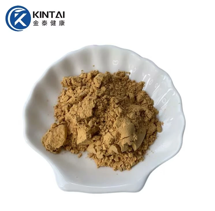 Agaricus Blazei Murill Extract Powder Supplier/Manufacturer/ Factory Agaricus Blazei Murill Extract Powder Supplier/Manufacturer/ Factory