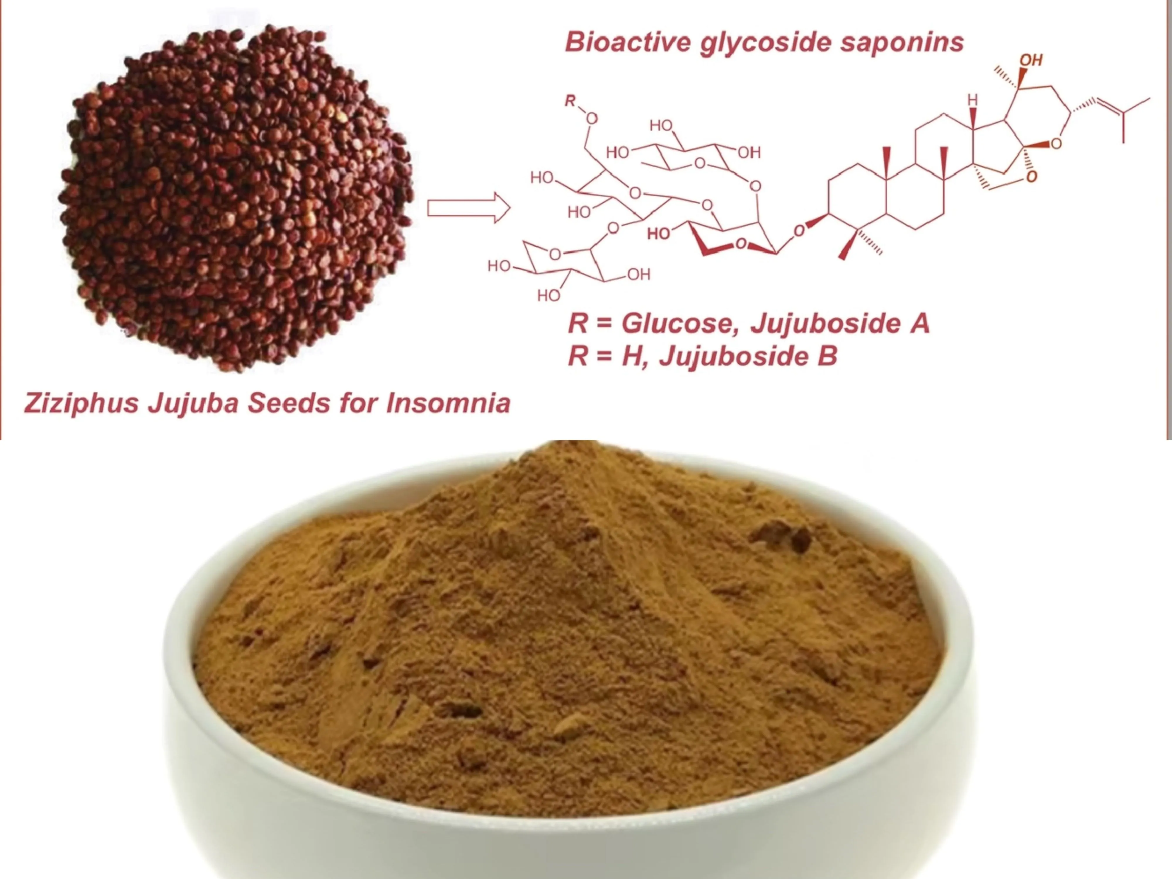 Spine Date Seed Extract Supplier/Manufacturer/Factory Spine Date Seed Extract Supplier/Manufacturer/Factory