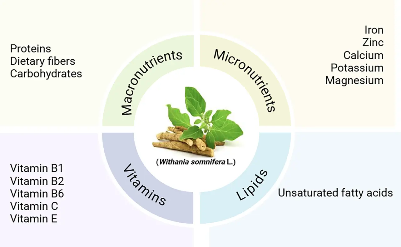 Ashwagandha benefits Ashwagandha benefits