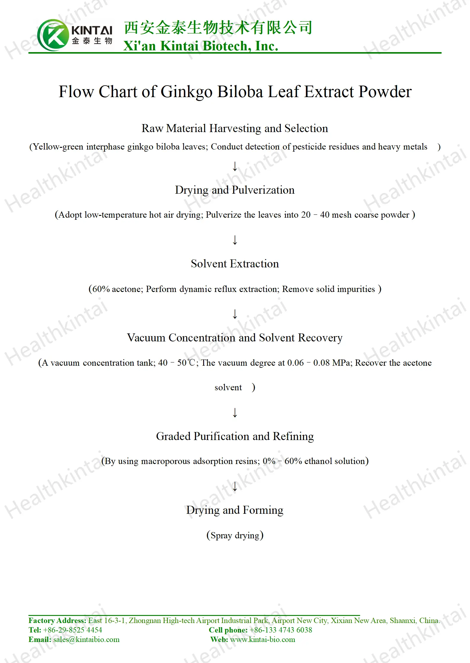How to Make Ginkgo Biloba Leaf Extract?