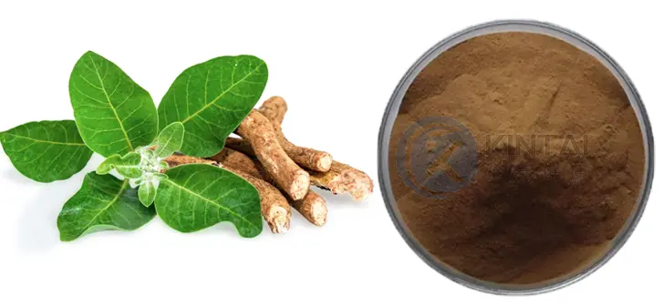 Withanolides Powder Plant Source