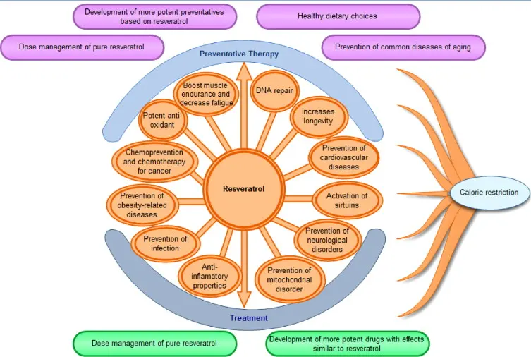 Benefits of Resveratrol Benefits of Resveratrol