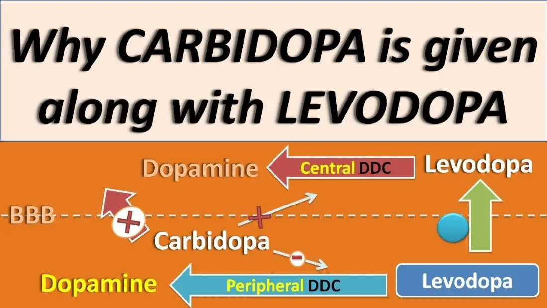 Why Is Carbidopa Combined with Levodopa? Why Is Carbidopa Combined with Levodopa?
