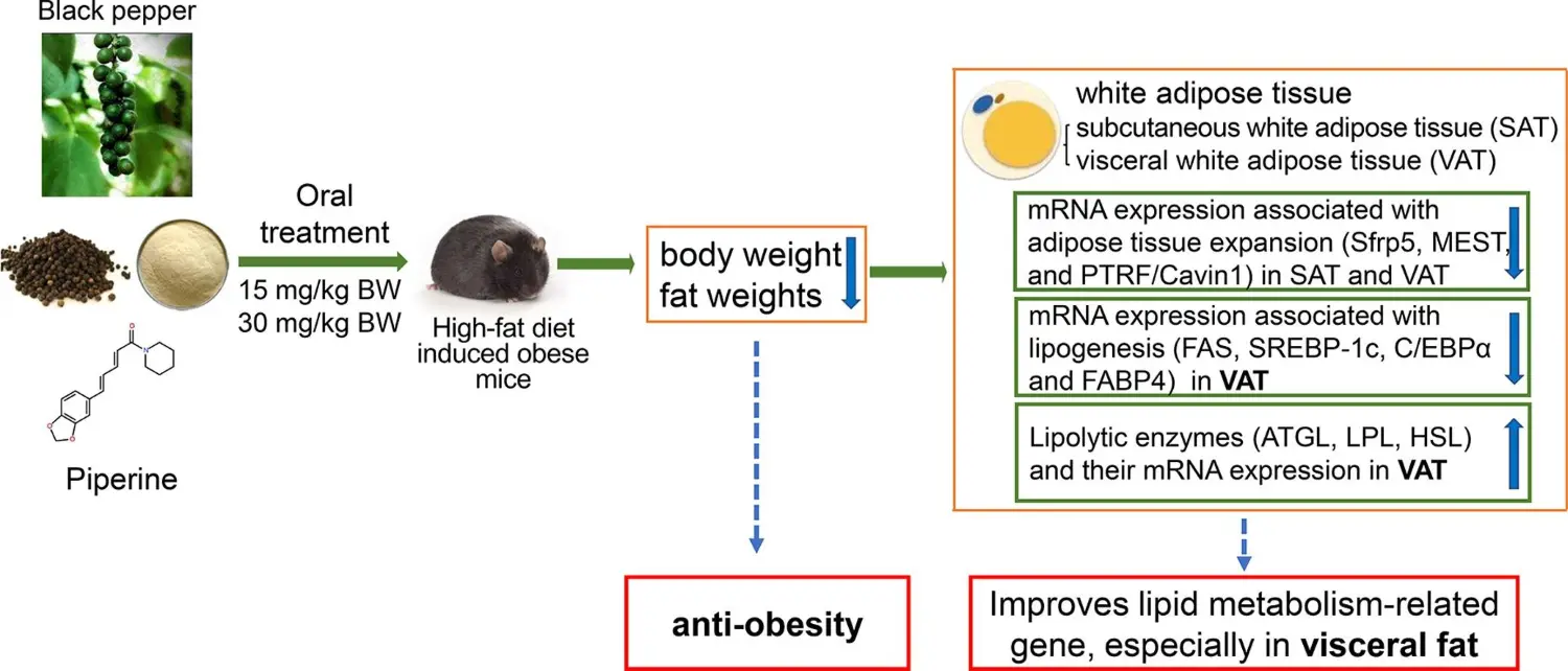 Piperine for weight loss