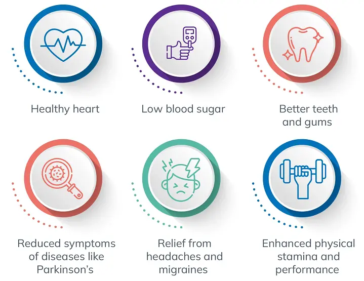 Coenzyme Q10 Benefits