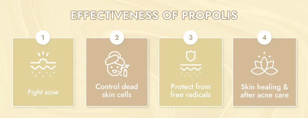 Propolis Extract Benefits