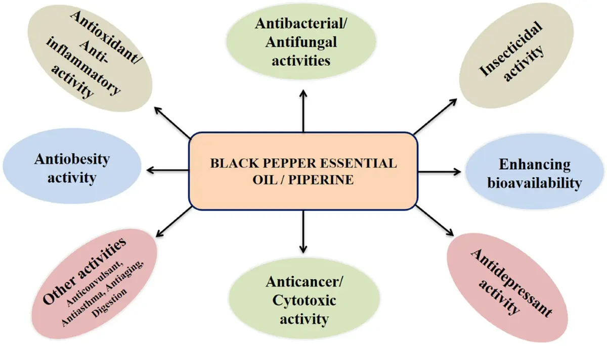 Benefits of Piperine Benefits of Piperine