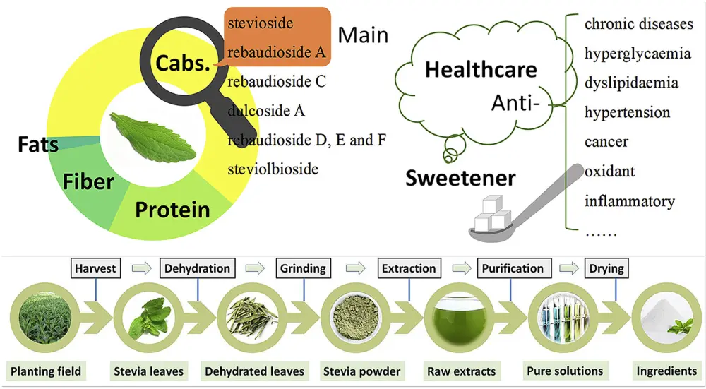Is Stevia Leaf Extract Good for You?