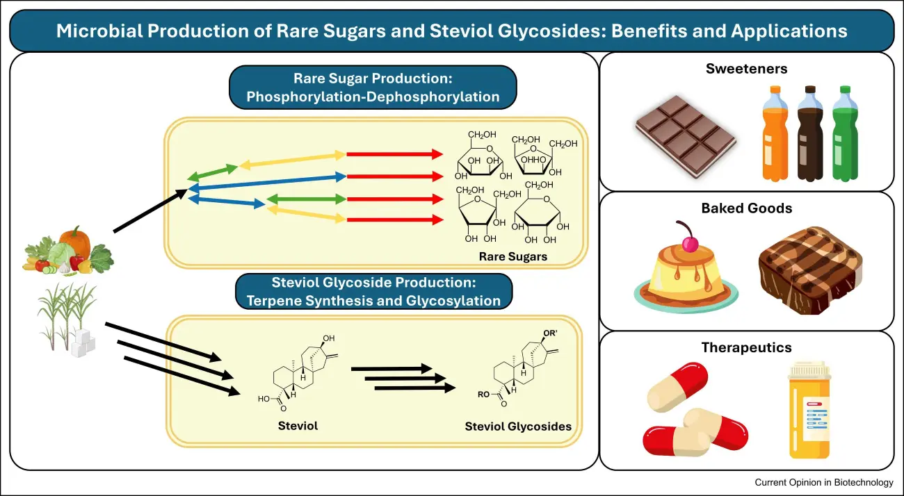 Is Stevia Leaf Extract Good for You? Is Stevia Leaf Extract Good for You?