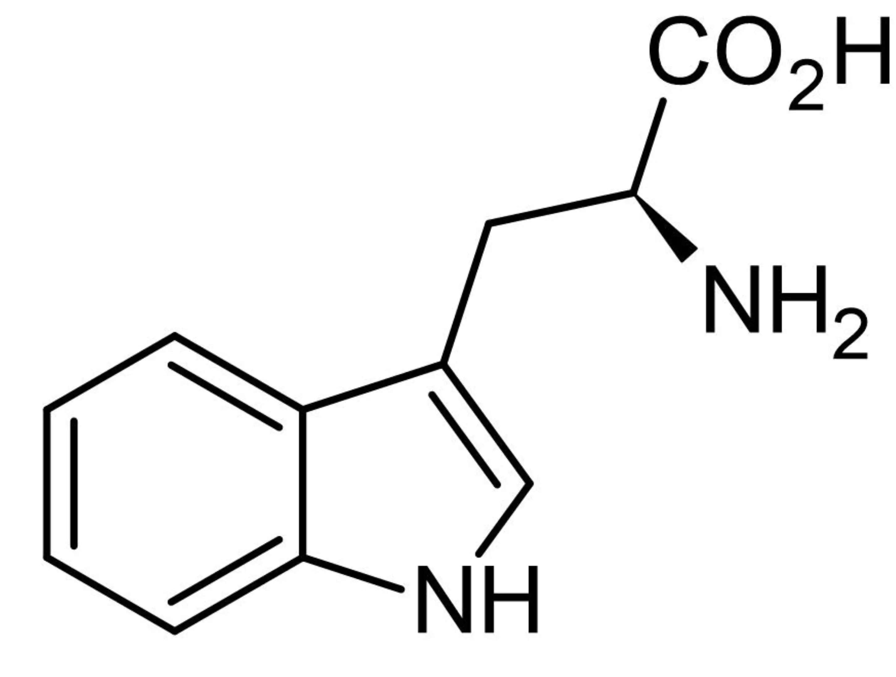 L-tryptophan Structure L-tryptophan Structure