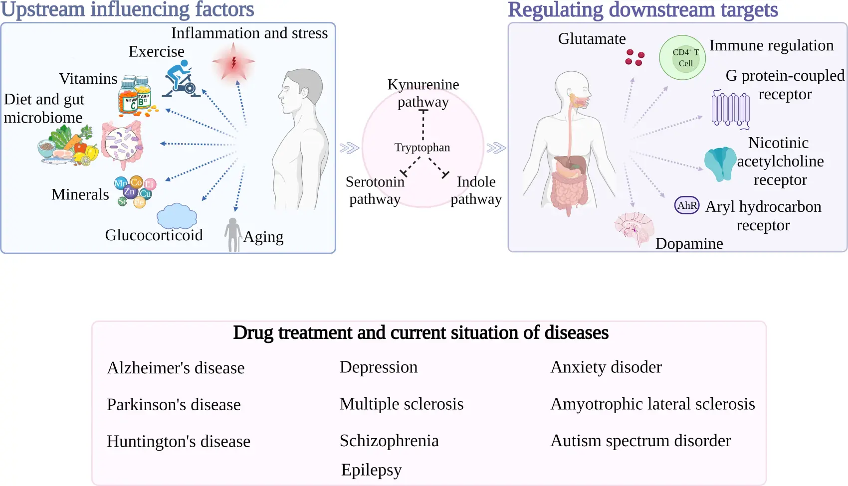 L Tryptophan Benefits L Tryptophan Benefits