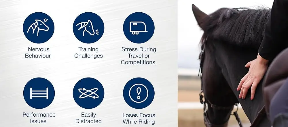 L-Tryptophan Benefits for Horses L-Tryptophan Benefits for Horses