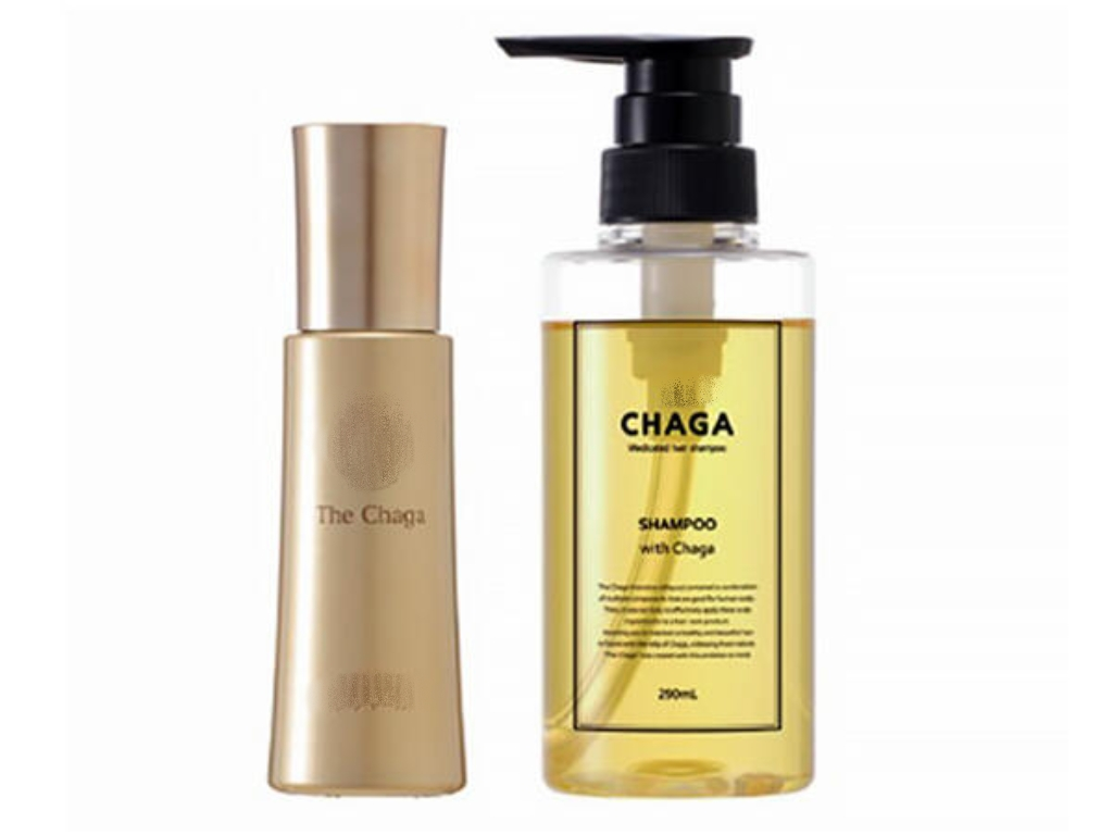 Chaga mushroom extract in skincare and cosmetics