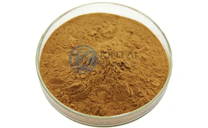 Chaga Extract Powder Manufacturers and Suppliers