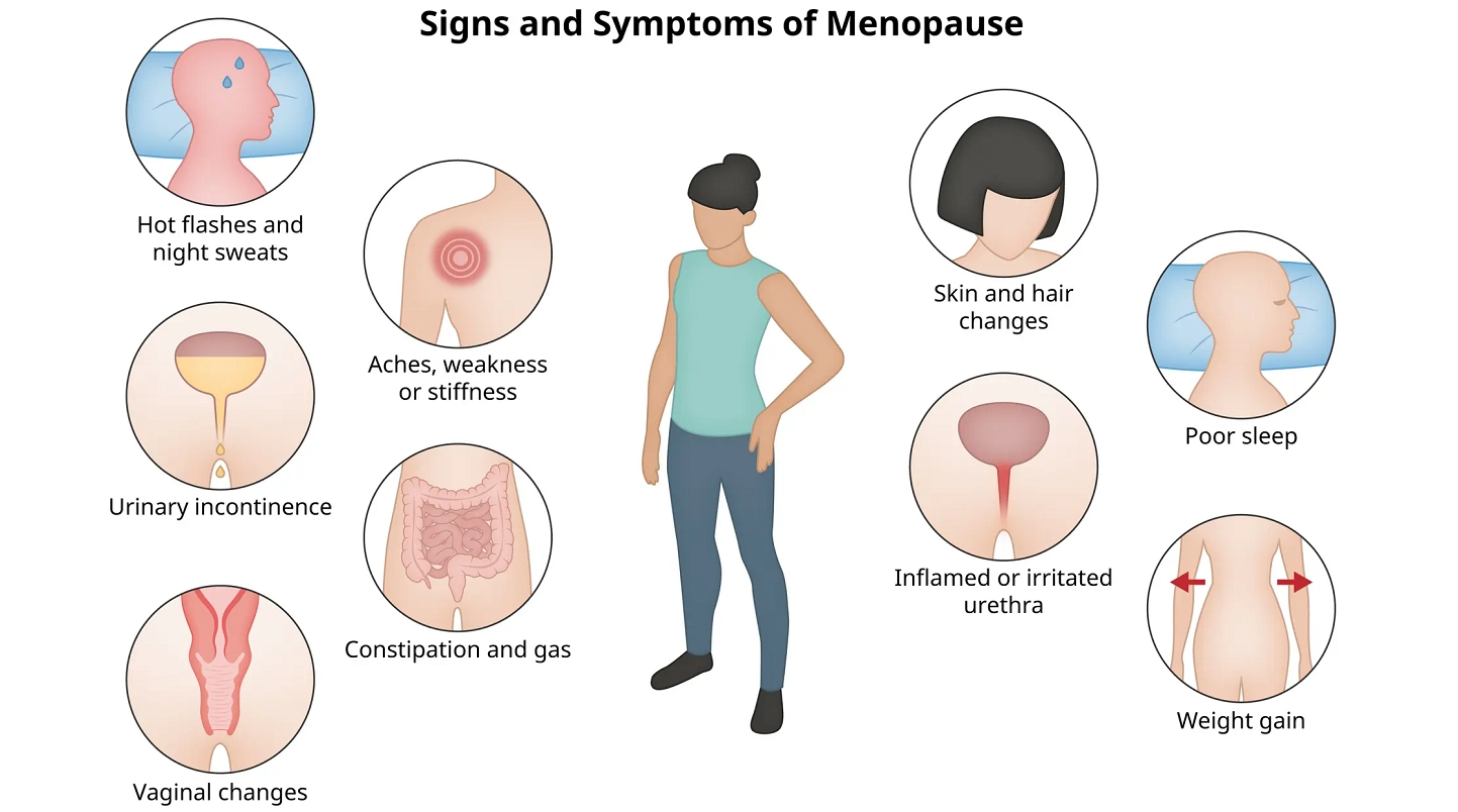 Do soy isoflavones help with menopause? Do soy isoflavones help with menopause?