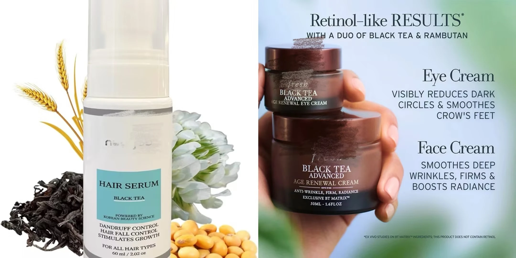 Black Tea Extract Theaflavins Applications