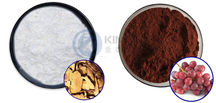 գիտելիքՆկար