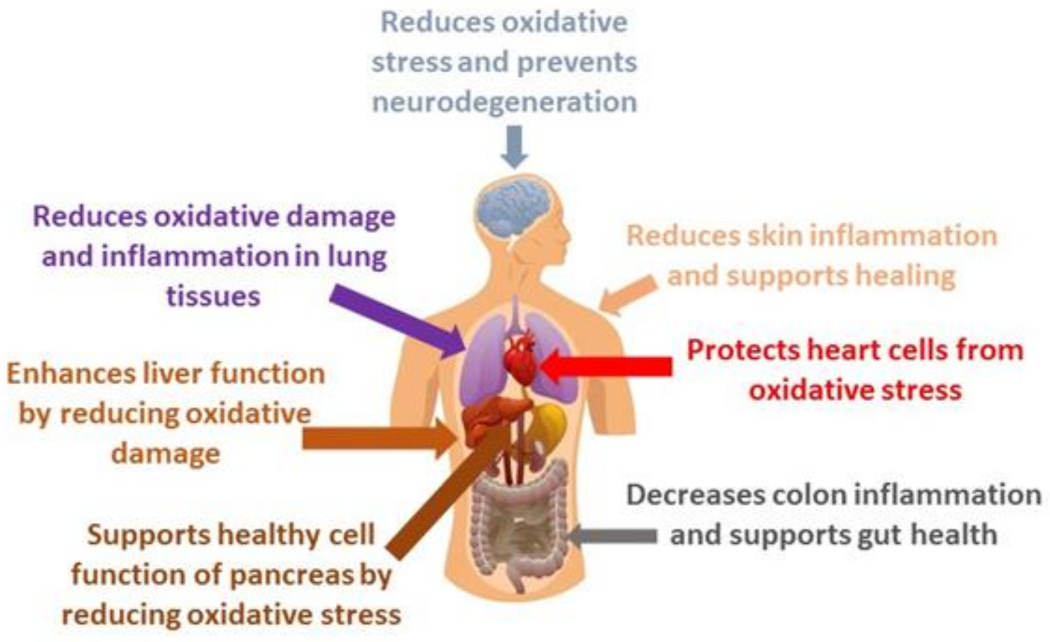 ज्ञान चित्र