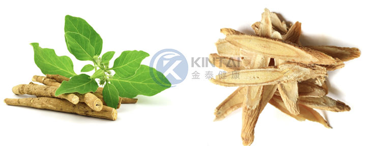 գիտելիքՆկար