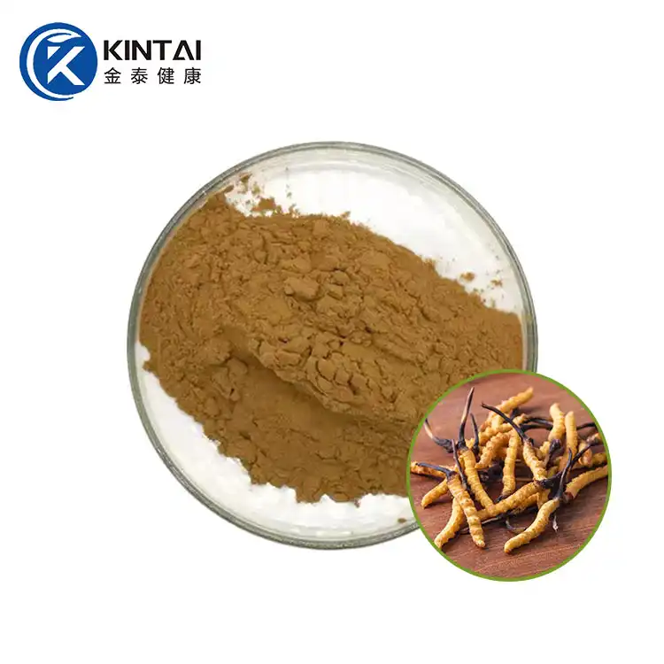 Cordyceps perretxiko erauzteko hautsa
