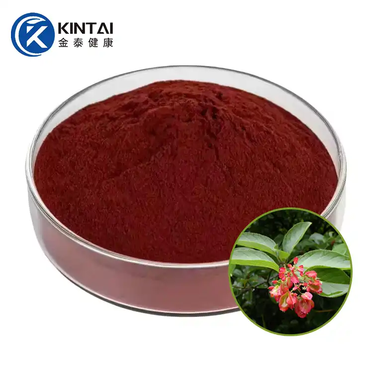 Tripterine Tripterine