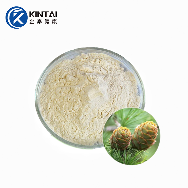 Douglas fenyő kivonat