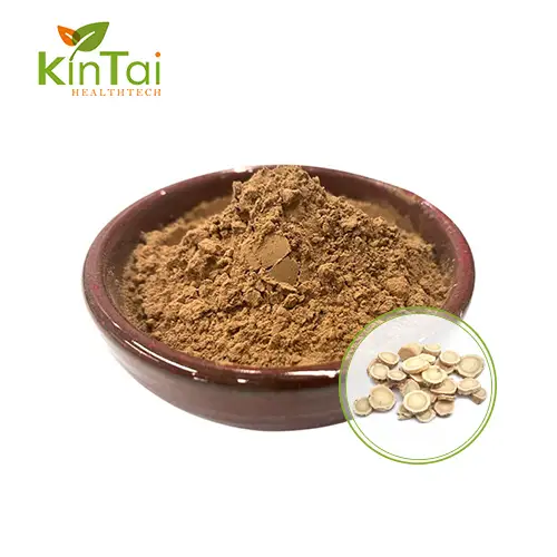 serbuk ekstrak astragalus organik