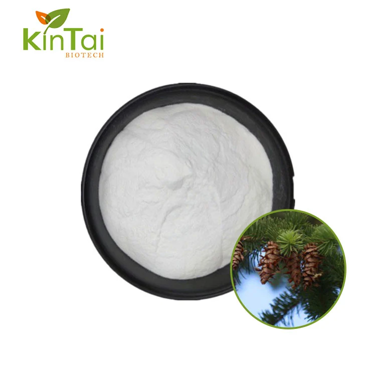 Douglas Fir Tangohanga