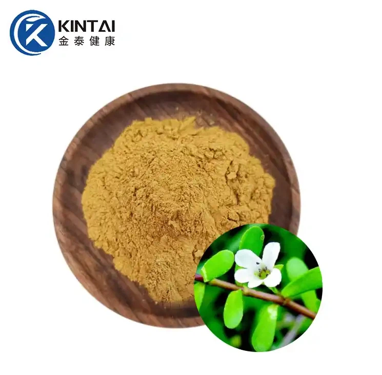 Bacopa Monnieri Extract Bacosides Powder