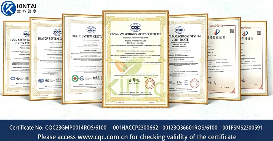 Our certifications Our certifications
