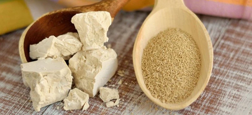 What Is Yeast Extract? What Is Yeast Extract?