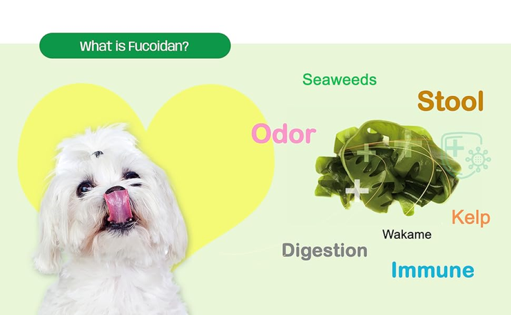 Is Fucoidan Good For Dogs? Is Fucoidan Good For Dogs?