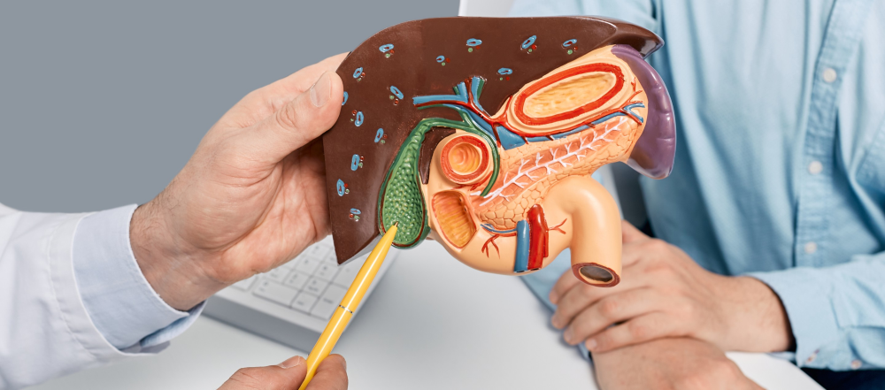 ox-bile-vs-tudca for liver ox-bile-vs-tudca for liver