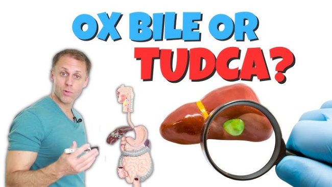 What Is The Difference Between Ox Bile And TUDCA? What Is The Difference Between Ox Bile And TUDCA?