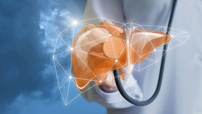 TUDCA Vs Ox Bile: What's Right For Your Liver? TUDCA Vs Ox Bile: What's Right For Your Liver?