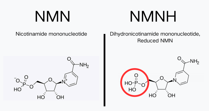 NMN Vs NMNH: Molecular Structure NMN Vs NMNH: Molecular Structure