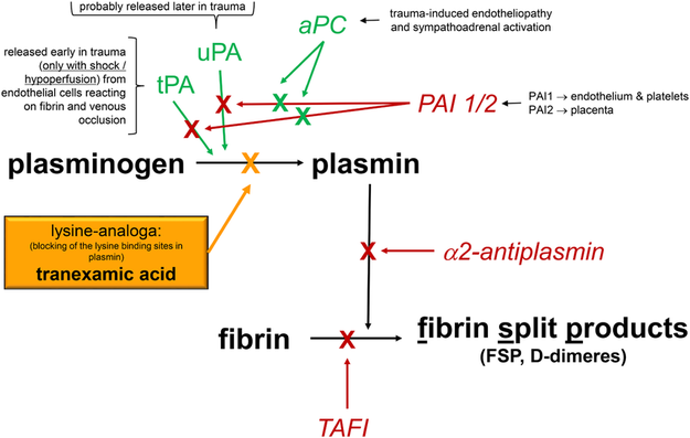 Why Choose Tranexamic Acid To Treat Discoloration? Why Choose Tranexamic Acid To Treat Discoloration?