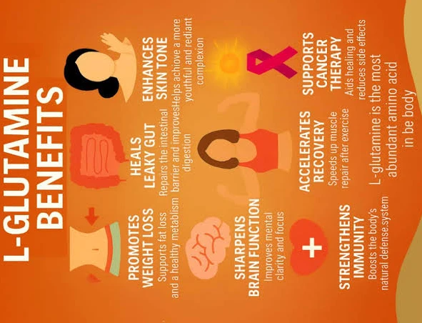 L Glutamine benefits L Glutamine benefits
