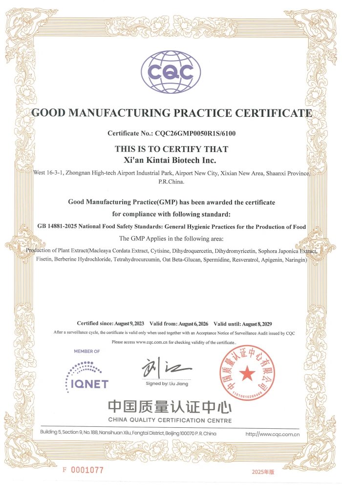 KINTAI GMP KINTAI GMP