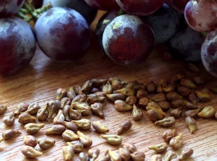 Grape Skin Extract Compare To Grape Seed Extract, Which Is Better? Grape Skin Extract Compare To Grape Seed Extract, Which Is Better?