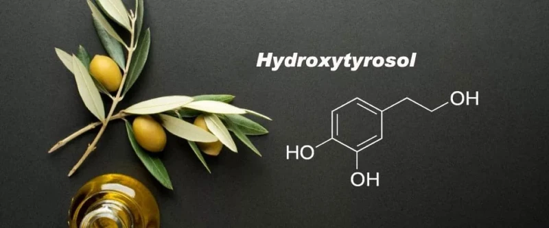 What Is Hydroxytyrosol What Is Hydroxytyrosol