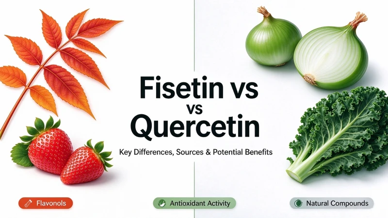 quercetin vs fisetin quercetin vs fisetin