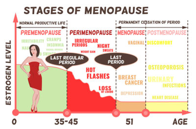 Rhubarb Extract for Menopause