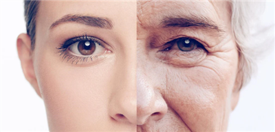 NMN and Resveratrol
