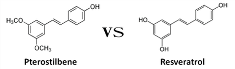 Resveratrol vs Pterostilbene