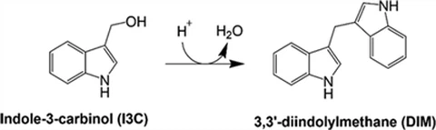 Indole 3 Carbinol vs DIM