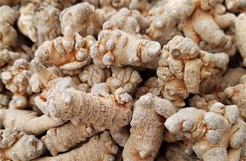 Astragalus Membranaceus And Panax Notoginseng Extract
