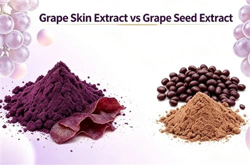 How Does Grape Skin Extract vs Grape Seed Extract?
