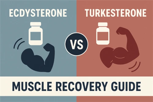 Ecdysterone Vs Turkesterone