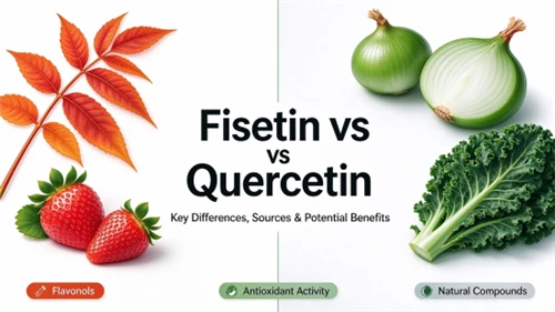 Fisetin Vs Quercetin